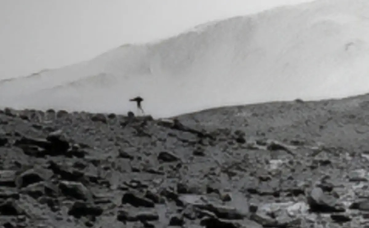 example